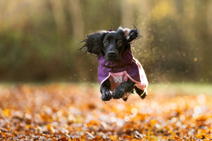 Non-stop Dogwear Fjord raincoat 2.0