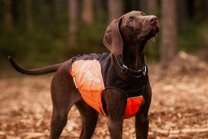 Non-stop Dogwear Polar collar