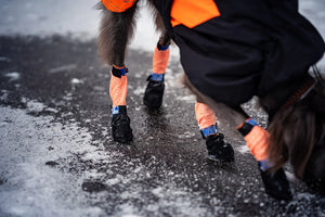 Non-stop Dogwear Protector bootie high