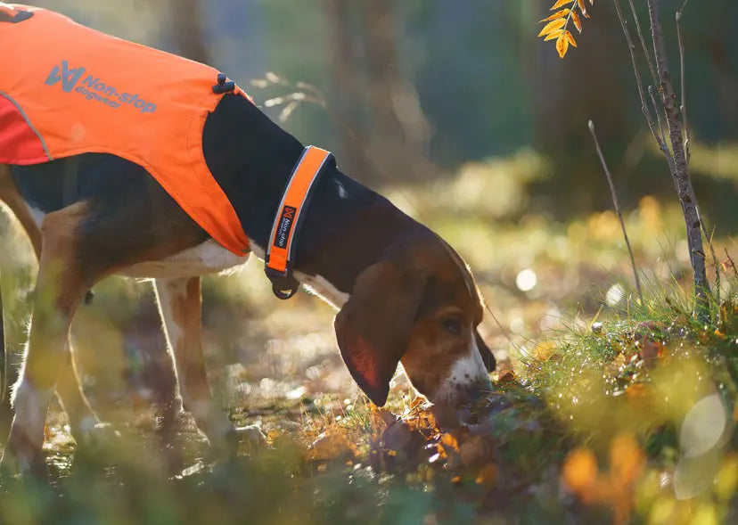 Non-stop Dogwear Protector collar