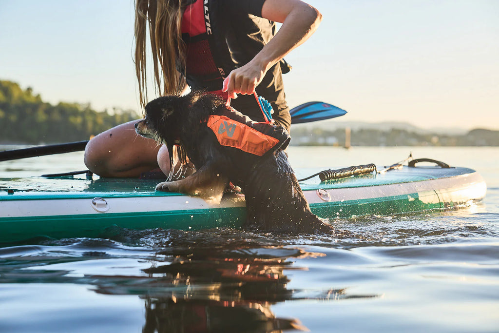 Non-stop Dogwear Protector life jacket