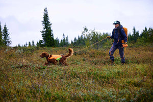 Non-stop Dogwear Protector round long line