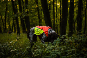 Non-stop Dogwear Protector vest 2.0