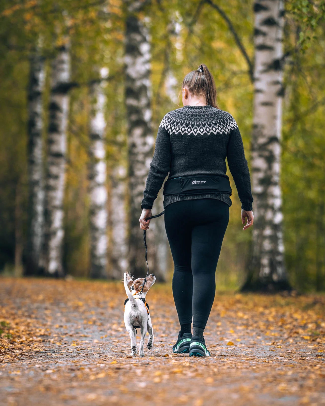 Non-stop Dogwear Rush belt