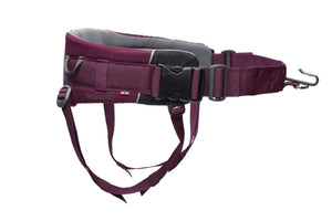 Non-stop Dogwear Trekking belt 2.0