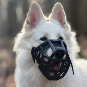 The Muzzle Movement Black Muzzles – Limited Edition